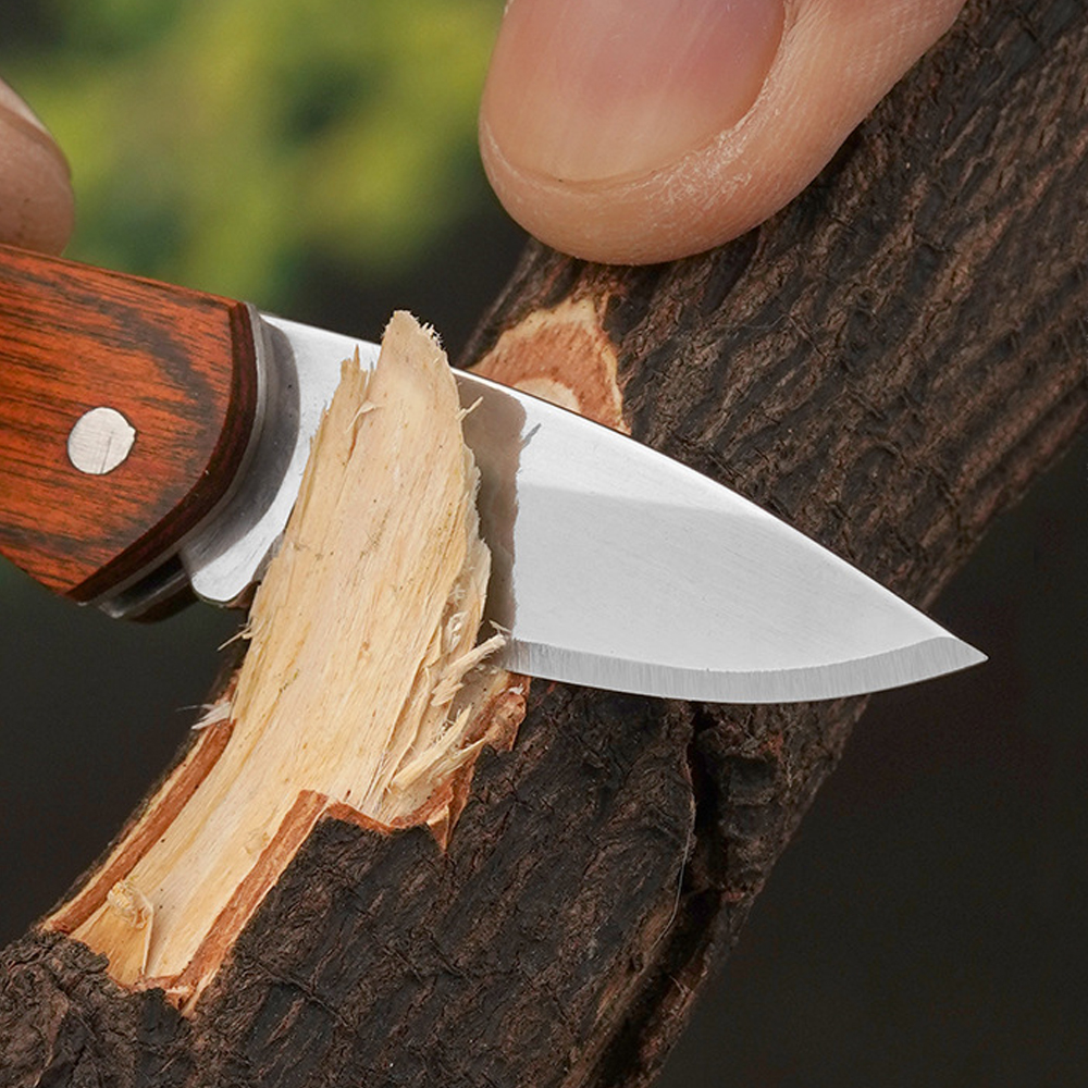 Small Keychain Pocket Knife Ev - Edc (Every Day Carry ulasan dan harga